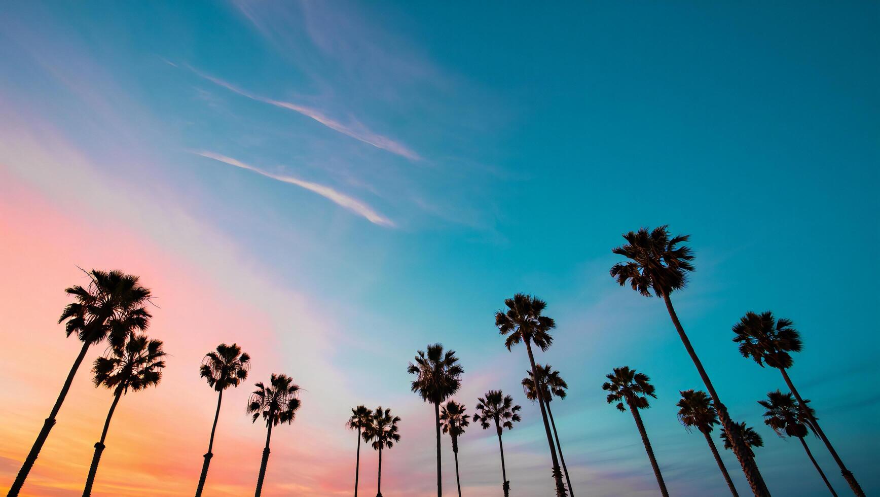 Beach Background Vibrant Sunset Silhouette of Palm Trees on Tropical Beach California photo