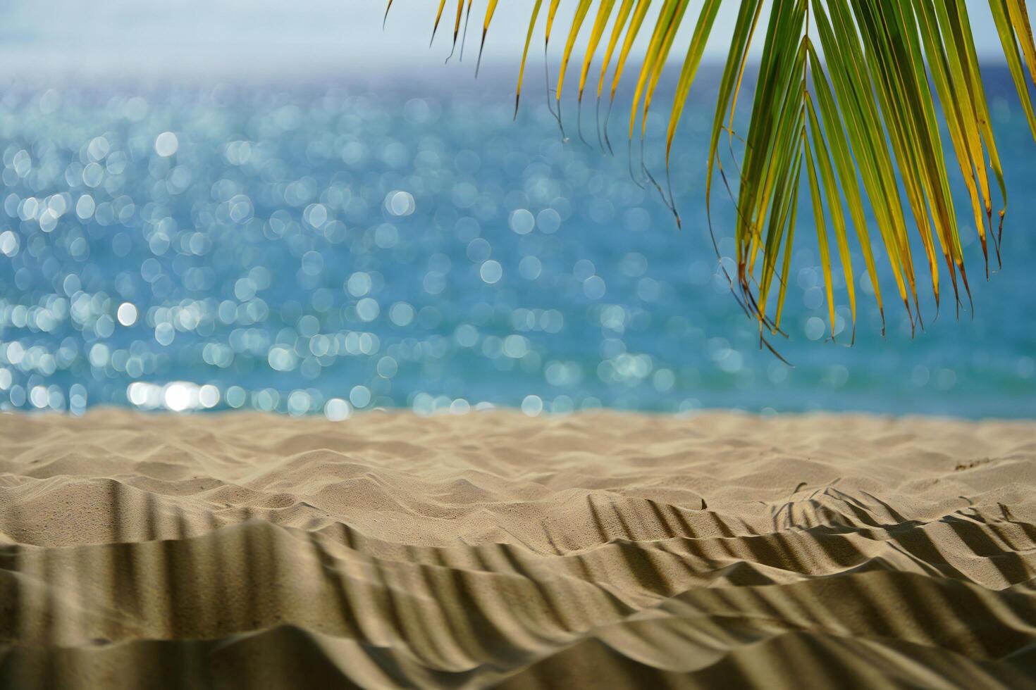 Beach Background Idyllic Tropical Beach Scene Palm Fronds Sunlit Sand Sparkling Ocean photo