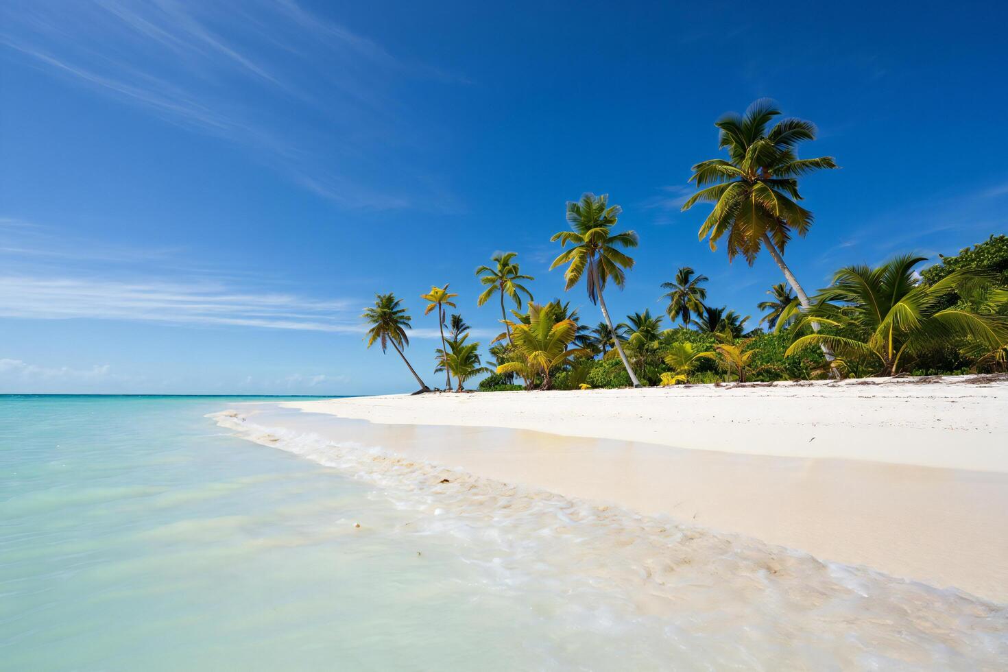 Beach Background Idyllic Tropical Beach Scene White Sand Palm Trees Turquoise Ocean photo