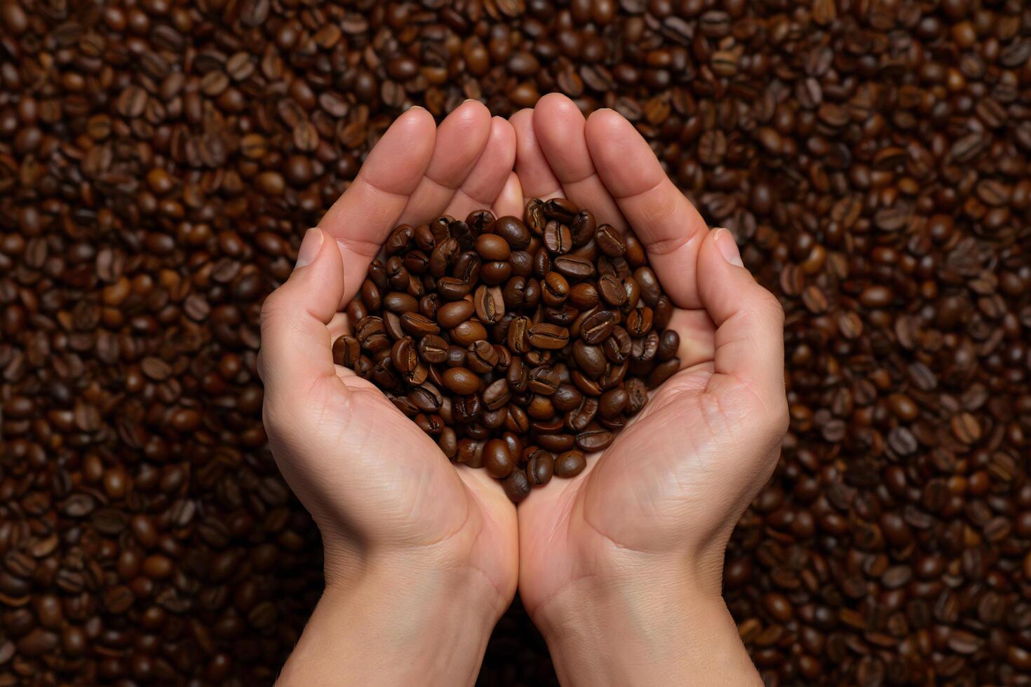 Coffee Background Aromatic Coffee Beans Held in Hands Close Up View of Roasted Coffee Brown Coffee Beans Background photo
