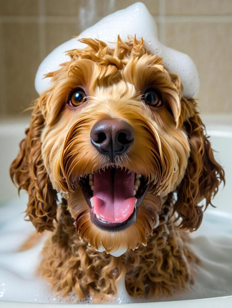 Dog Background Happy Fluffy Dog Taking a Bath Adorable Puppy in Suds Pet Grooming Clean Canine photo