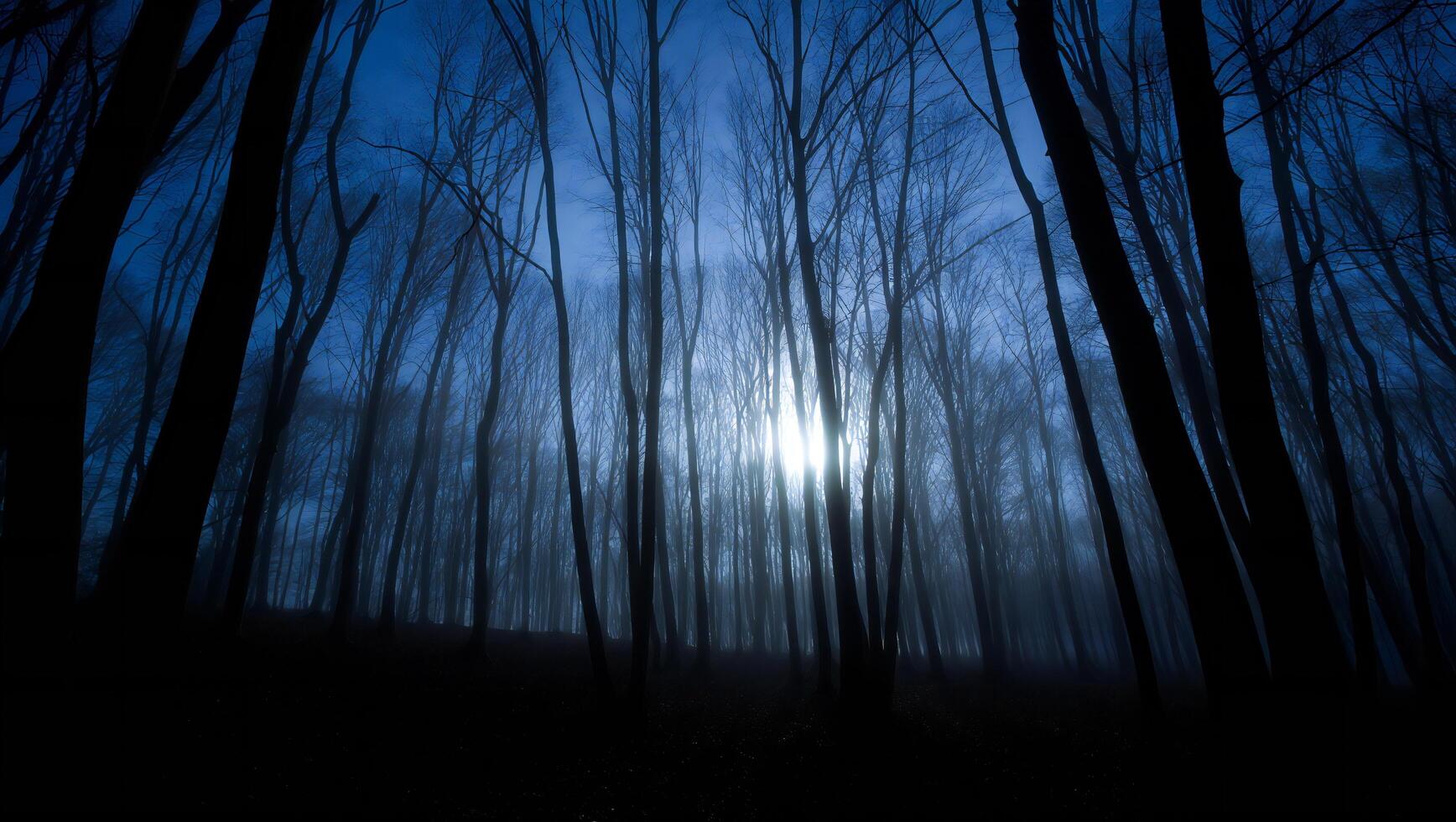 Halloween Background Enigmatic Blue Hour in a Misty Forest Silhouette of Trees at Dawn or Dusk photo