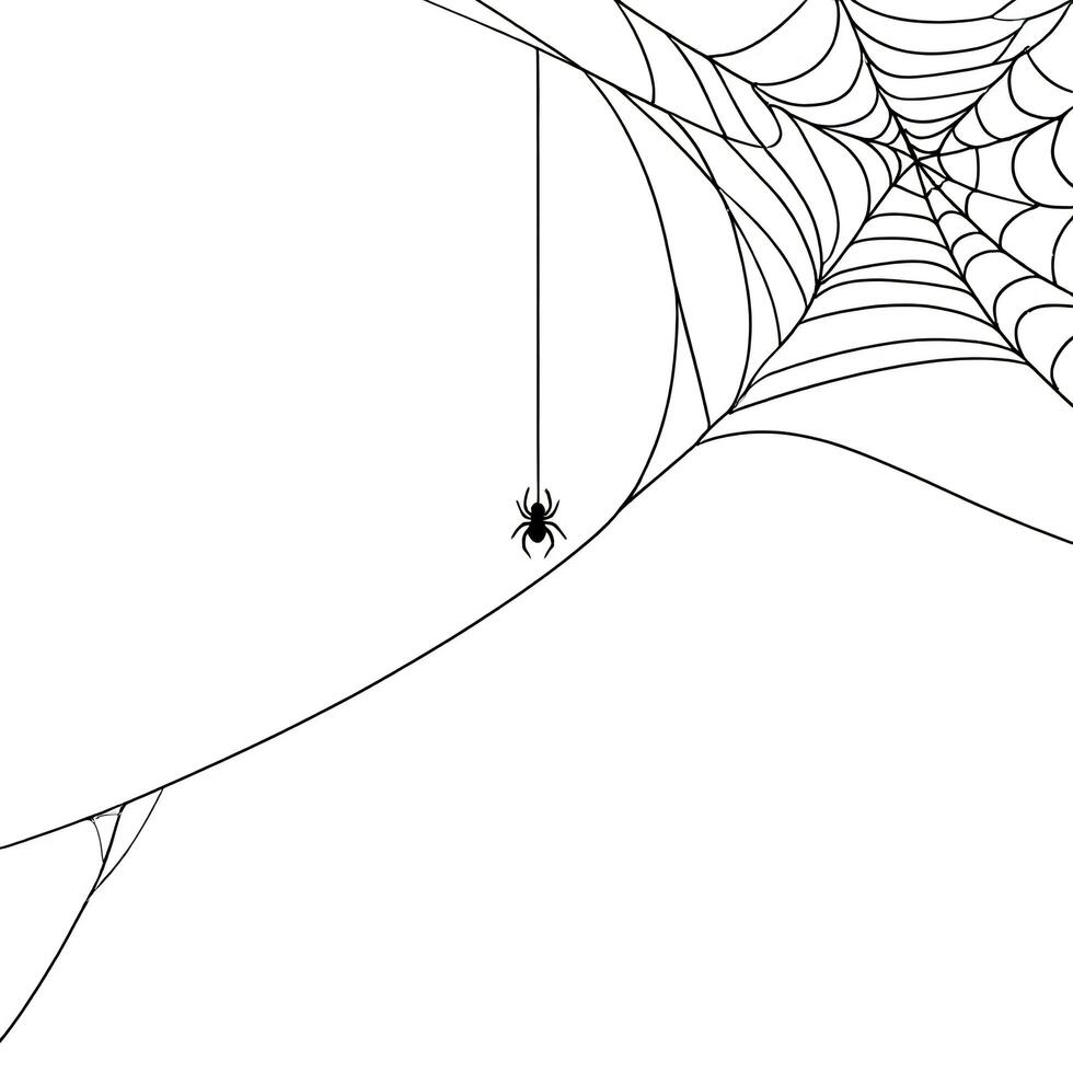 Halloween Background Halloween Spiderweb Design Intricate Cobweb with Spider Silhouette Perfect for Autumn Decor photo