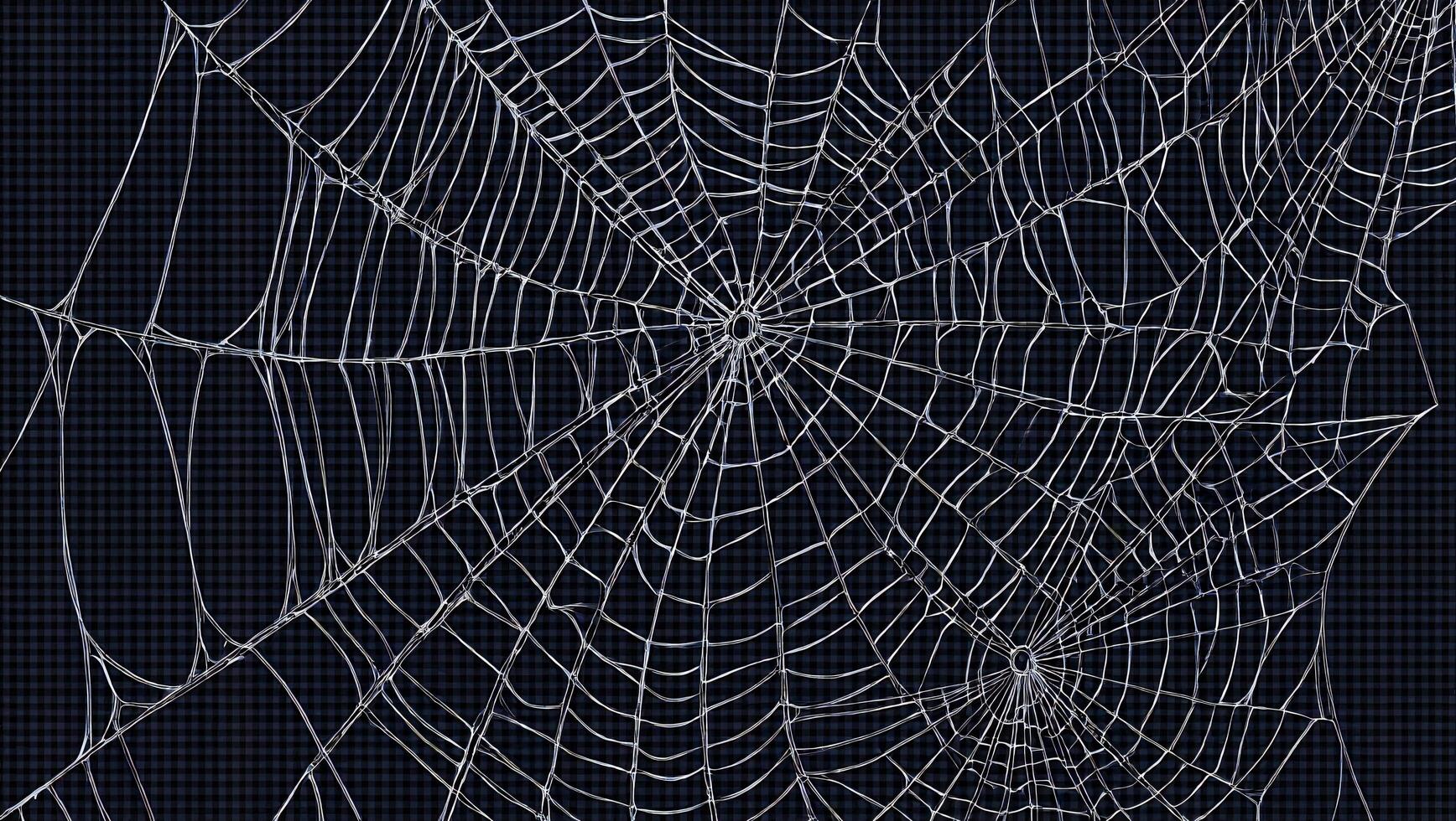 Halloween Background Intricate Spiderweb Texture on Dark Background Halloween Nature Design Element photo