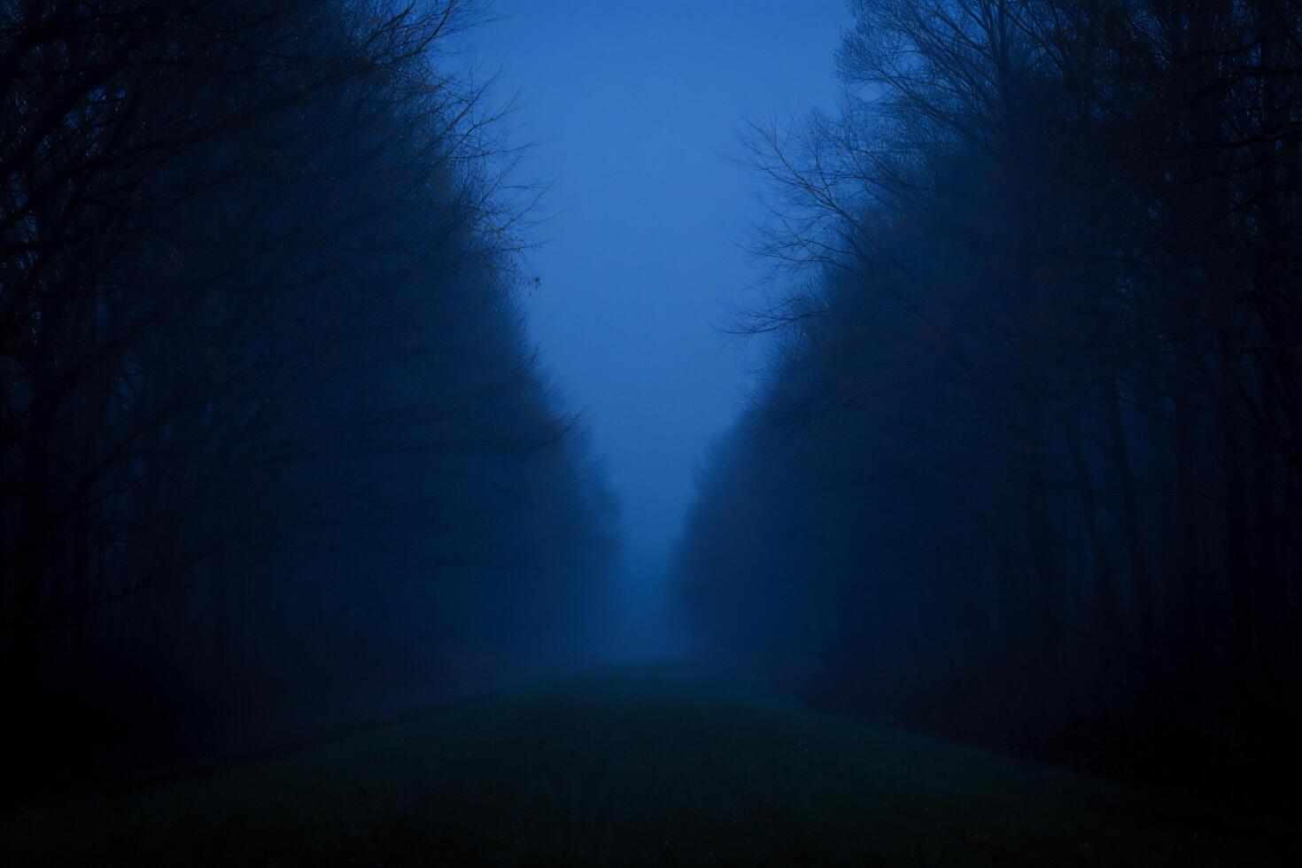 Halloween Background Mysterious Foggy Path at Dusk Dark Trees Eerie Atmosphere Nature Scene photo