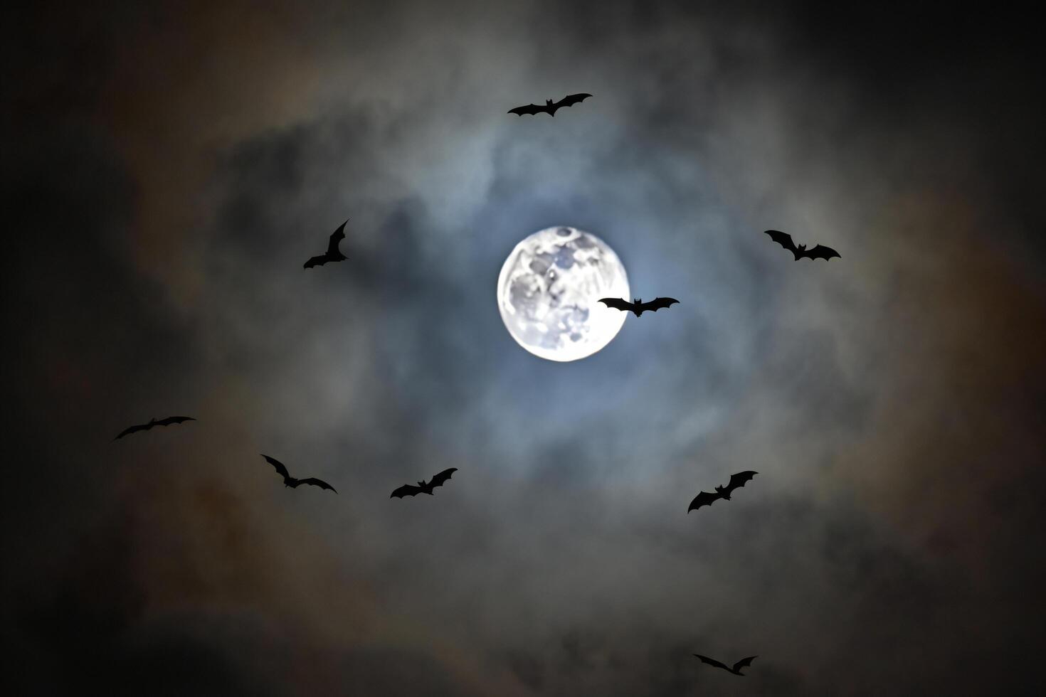 Halloween Background Mystical Night Scene Bats Silhouetted Against a Full Moon and Cloudy Sky photo