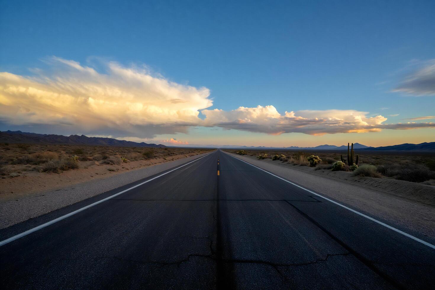 Nature Background Dramatic Desert Highway Sunset Landscape Open Road Clouds and Cactus photo
