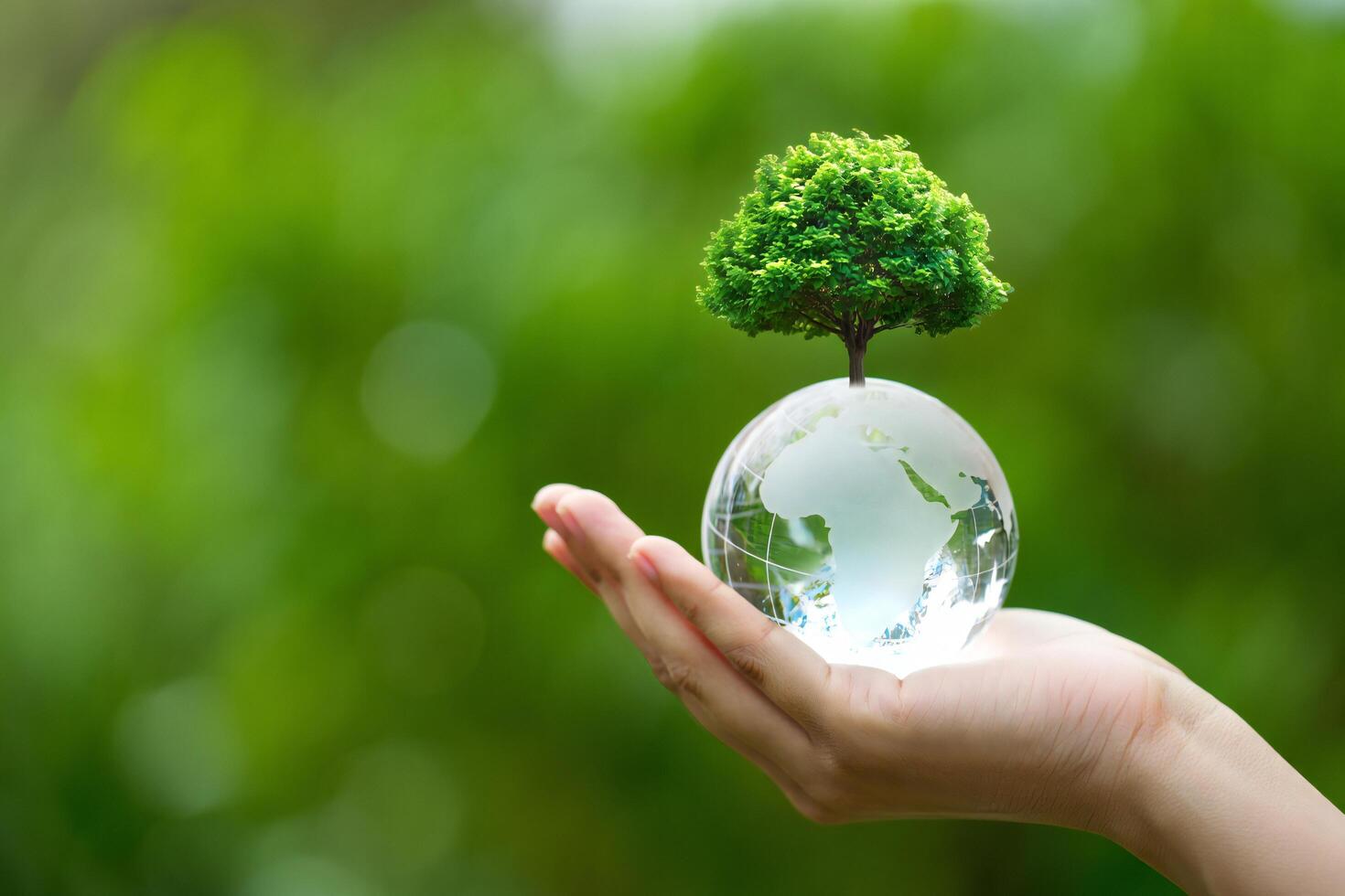 Nature Background Protecting Our Planet Hand Holding Earth Globe with Green Tree Top photo