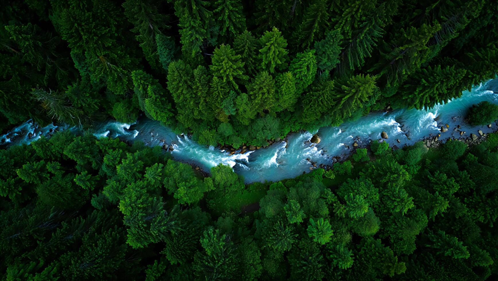 Nature Background Aerial View of Serene River Flowing Through Lush Evergreen Forest Nature Landscape photo