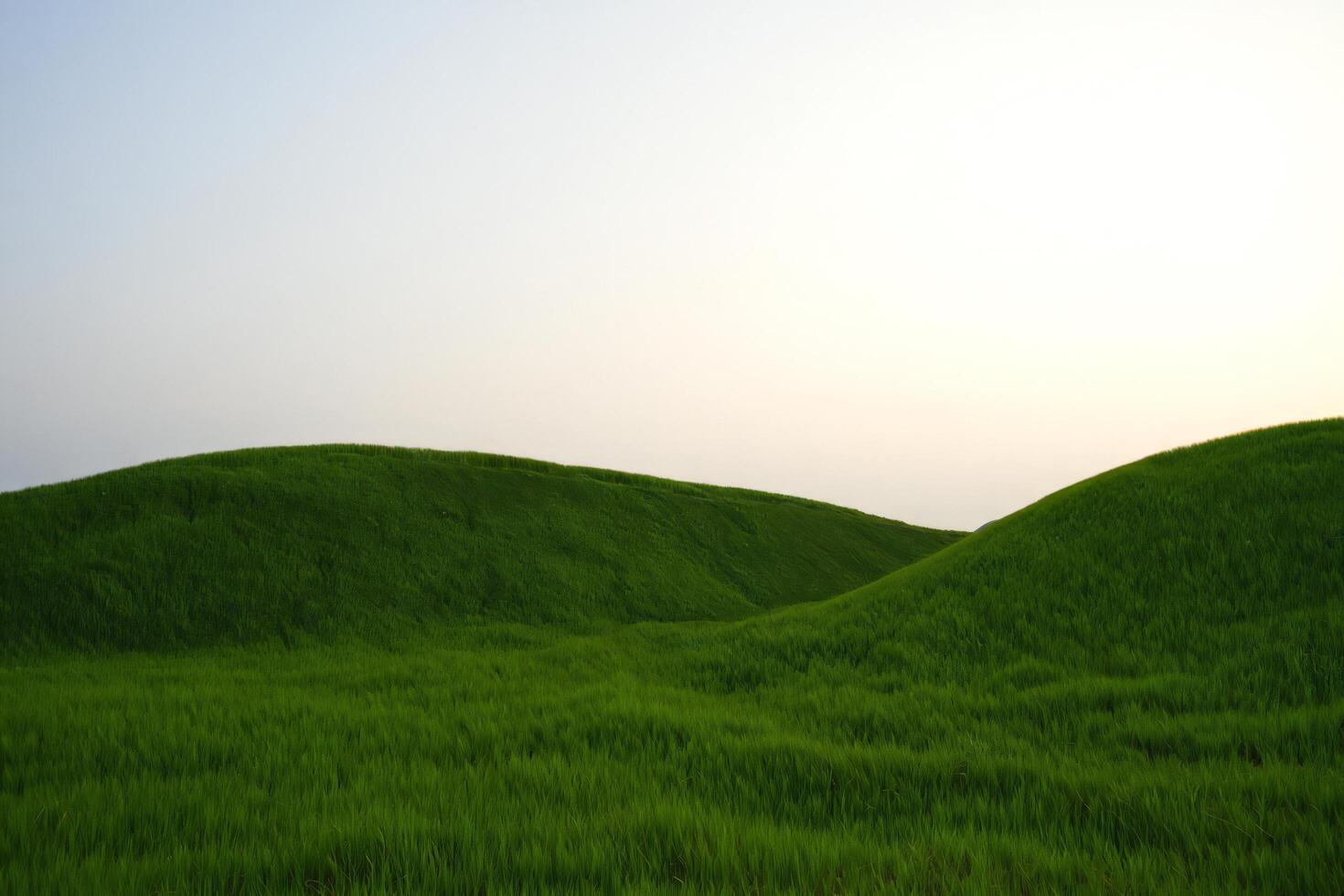 Nature Background Serene Rolling Green Hills Landscape Lush Grassy Meadows Summer Nature Scene photo