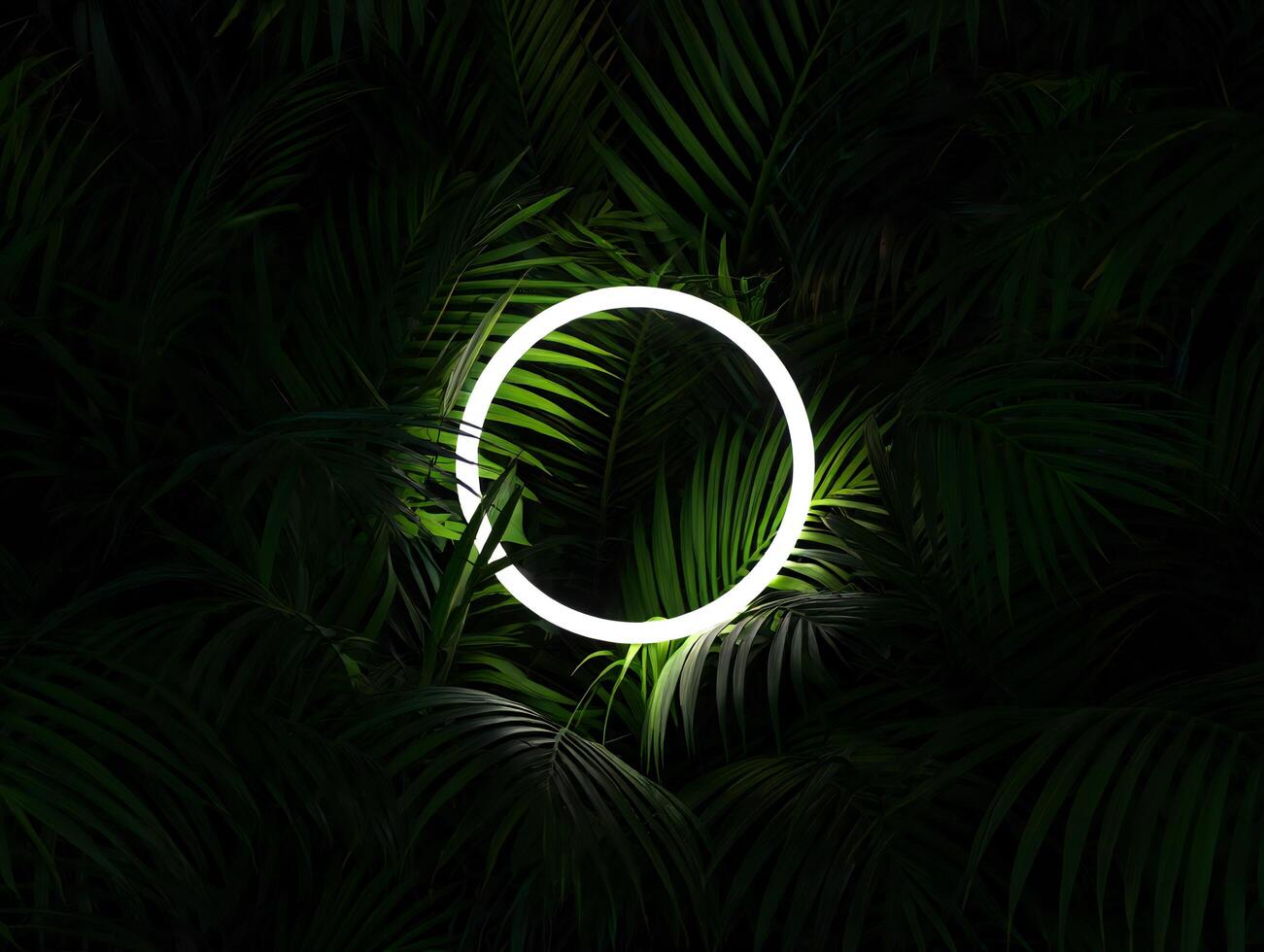 Nature Background Glowing Neon Circle Frame in Lush Tropical Palm Leaves Dark Green Foliage Background photo