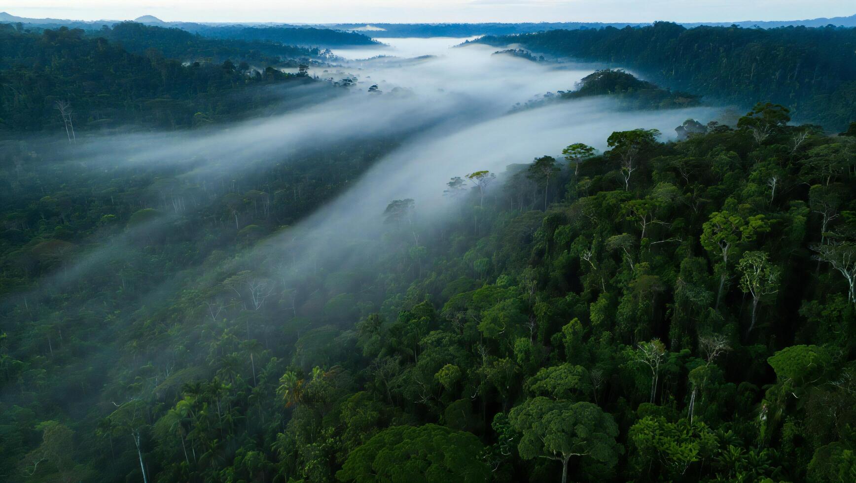 Nature Background Aerial View of Lush Rainforest Canopy with Morning Mist Tropical Jungle Landscape photo