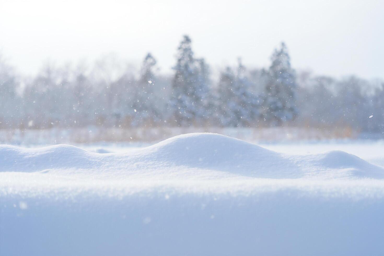 Nature Background Serene Winter Landscape Snowdrift with Falling Snow and Blurred Trees photo
