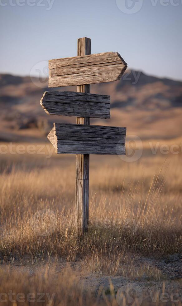 Wooden signpost in a field indicates directions towards different paths and destinations with nature photo