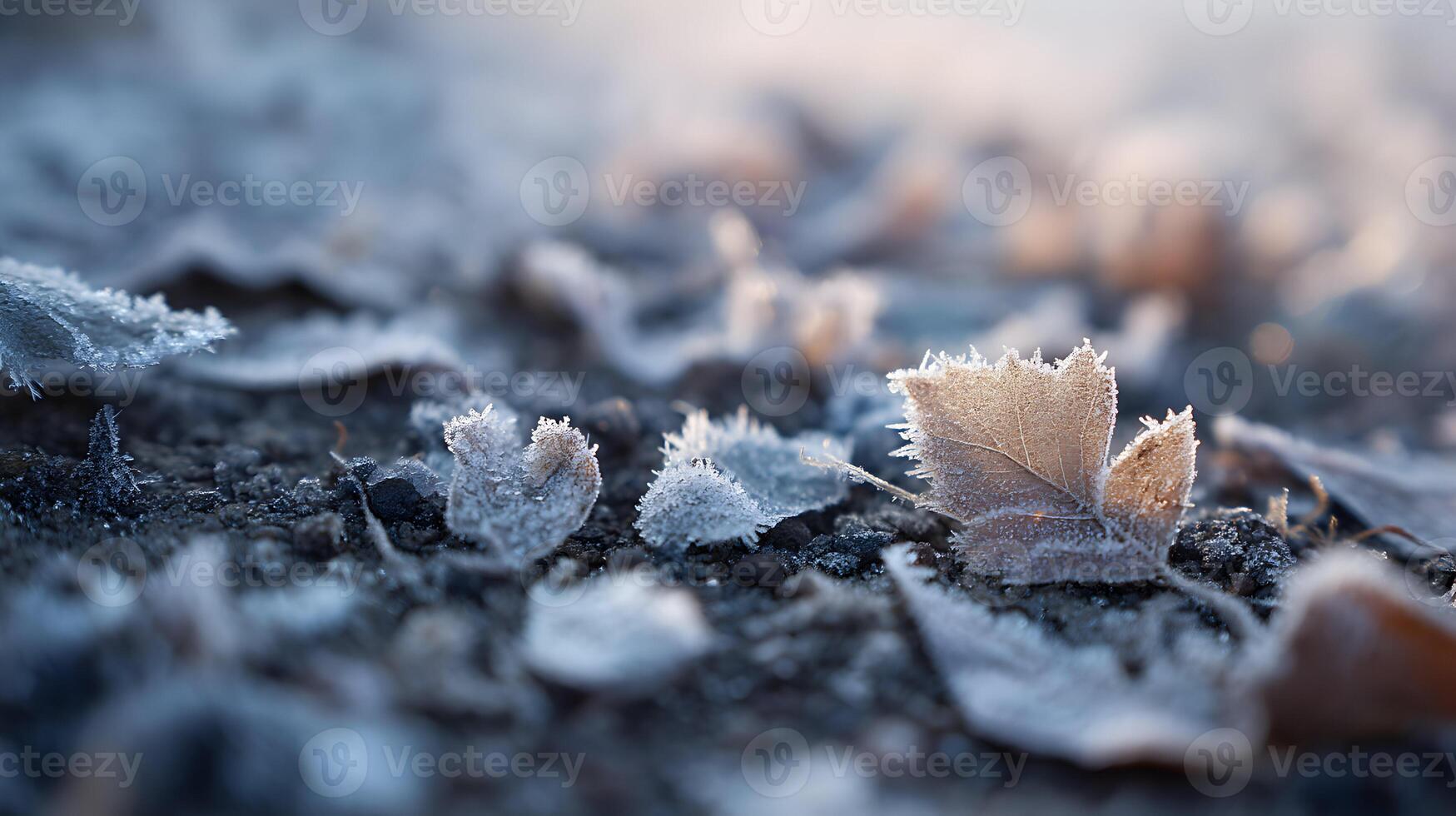 Frozen ground covered with delicate leaves glistening under a gentle light on a frosty day photo