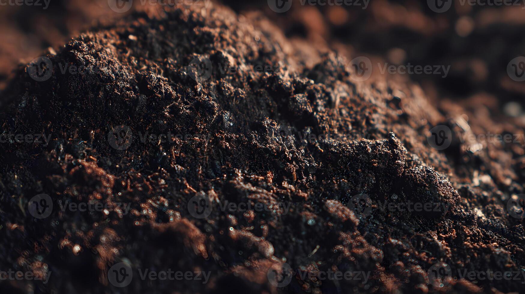 Detailed close up showcases rich fertile soil ideal for planting and growing a successful garden photo