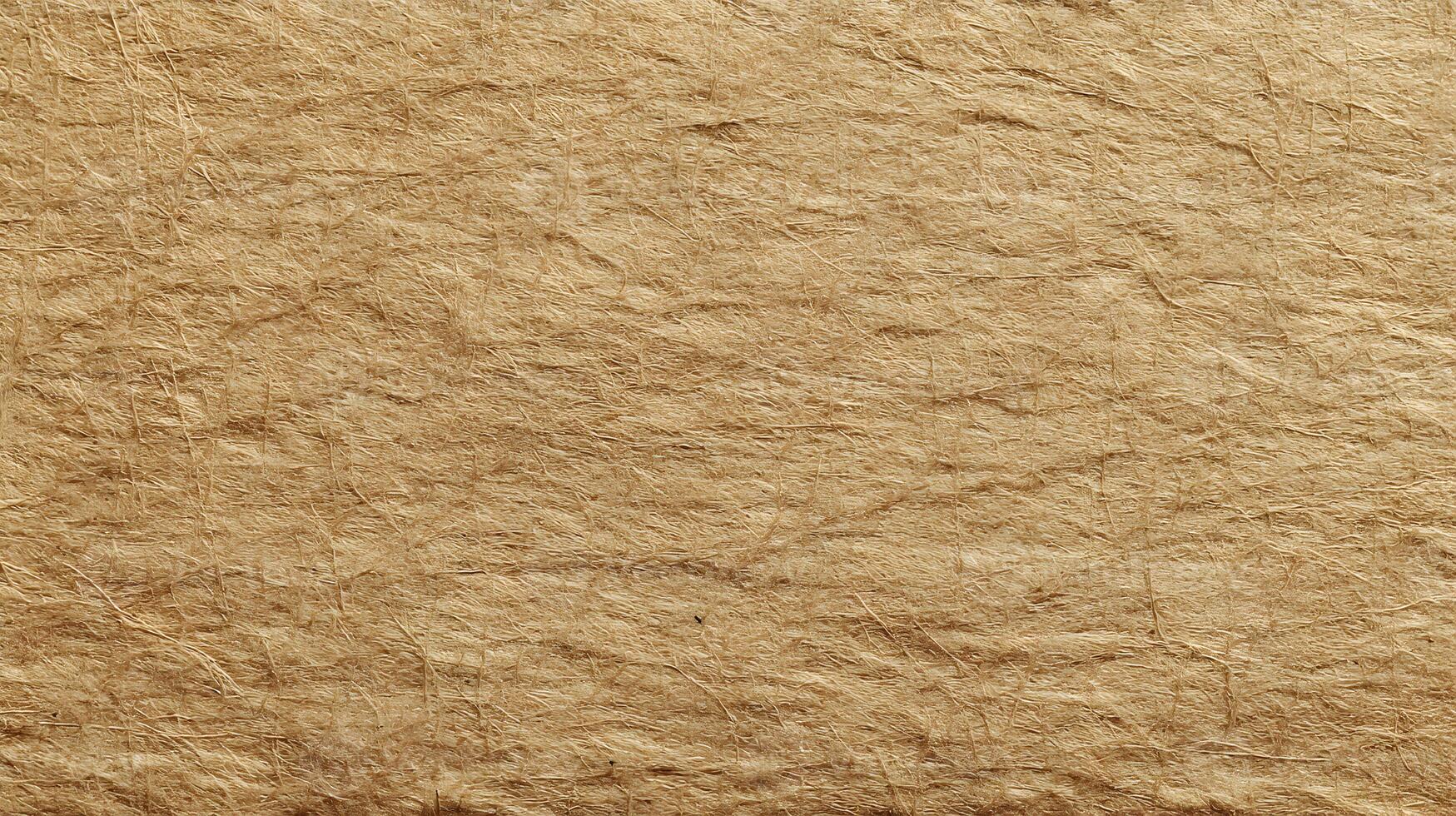 An abstract texture of light brown paper features delicate organic fibers in a random pattern surface photo