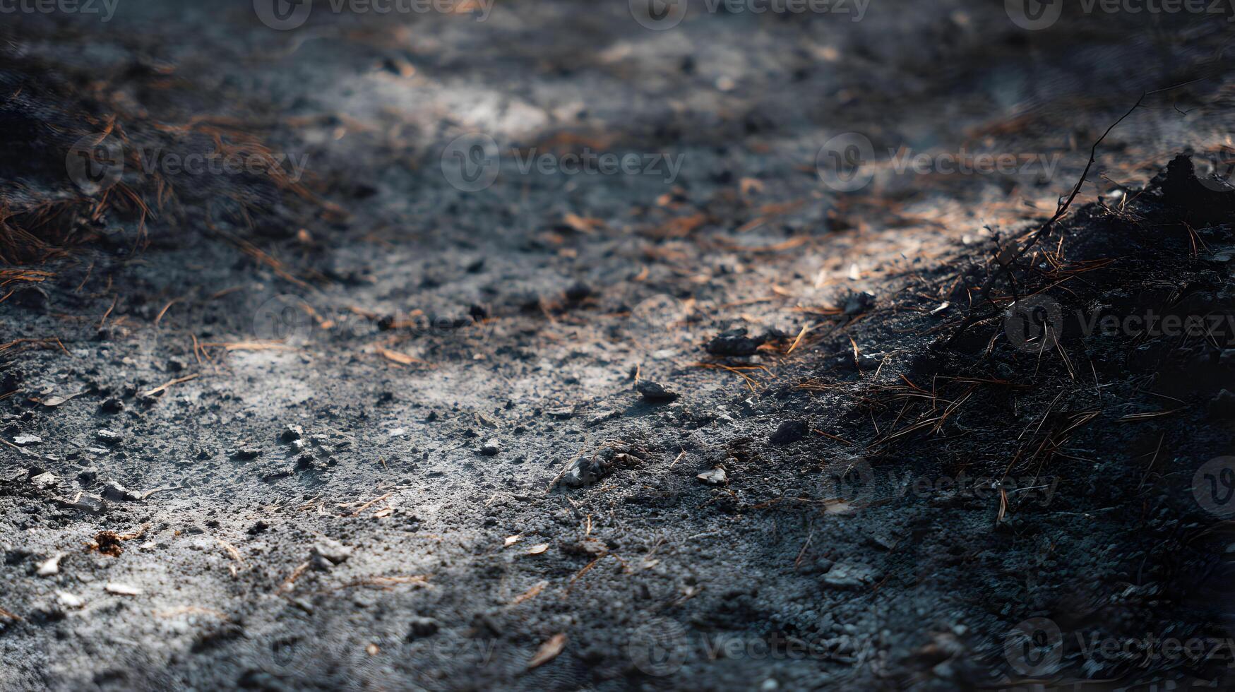 Post-fire aftermath revealing burnt earth textured surface with a melancholic feel of destruction photo