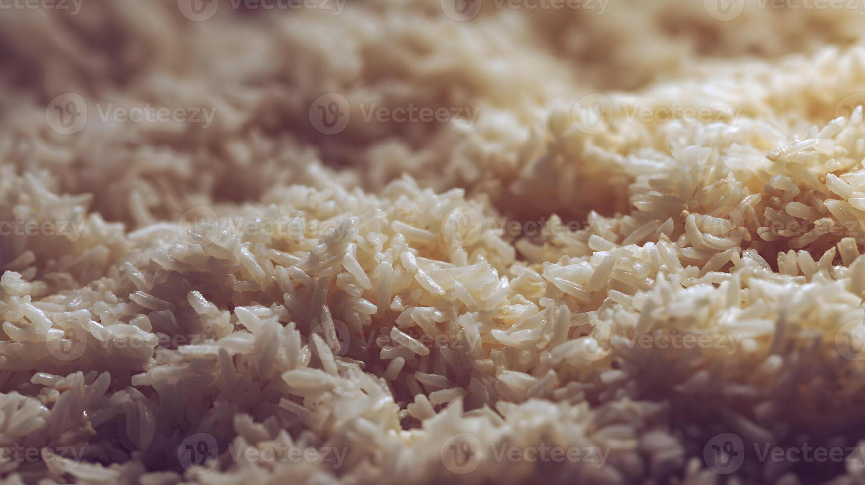 A close view of cooked rice grains displaying a light and fluffy texture in a warm ambiance photo
