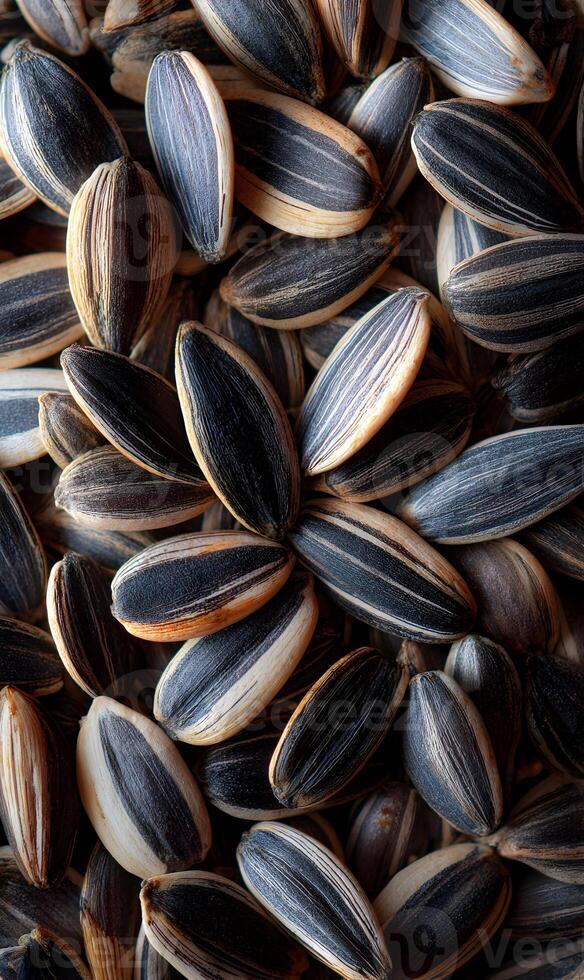 Close up capture showcasing the intricate patterns and textures of black and white sunflower seeds creating visual depth photo