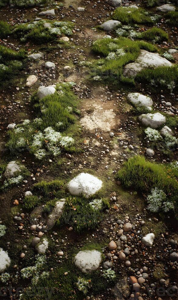 A textured ground surface showcasing white rocks amid lush green grass for natural beauty inspiration outdoors photo