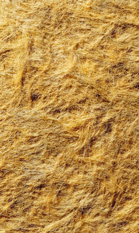 Abstract golden texture of natural straw or hay creates a rustic and organic background element photo