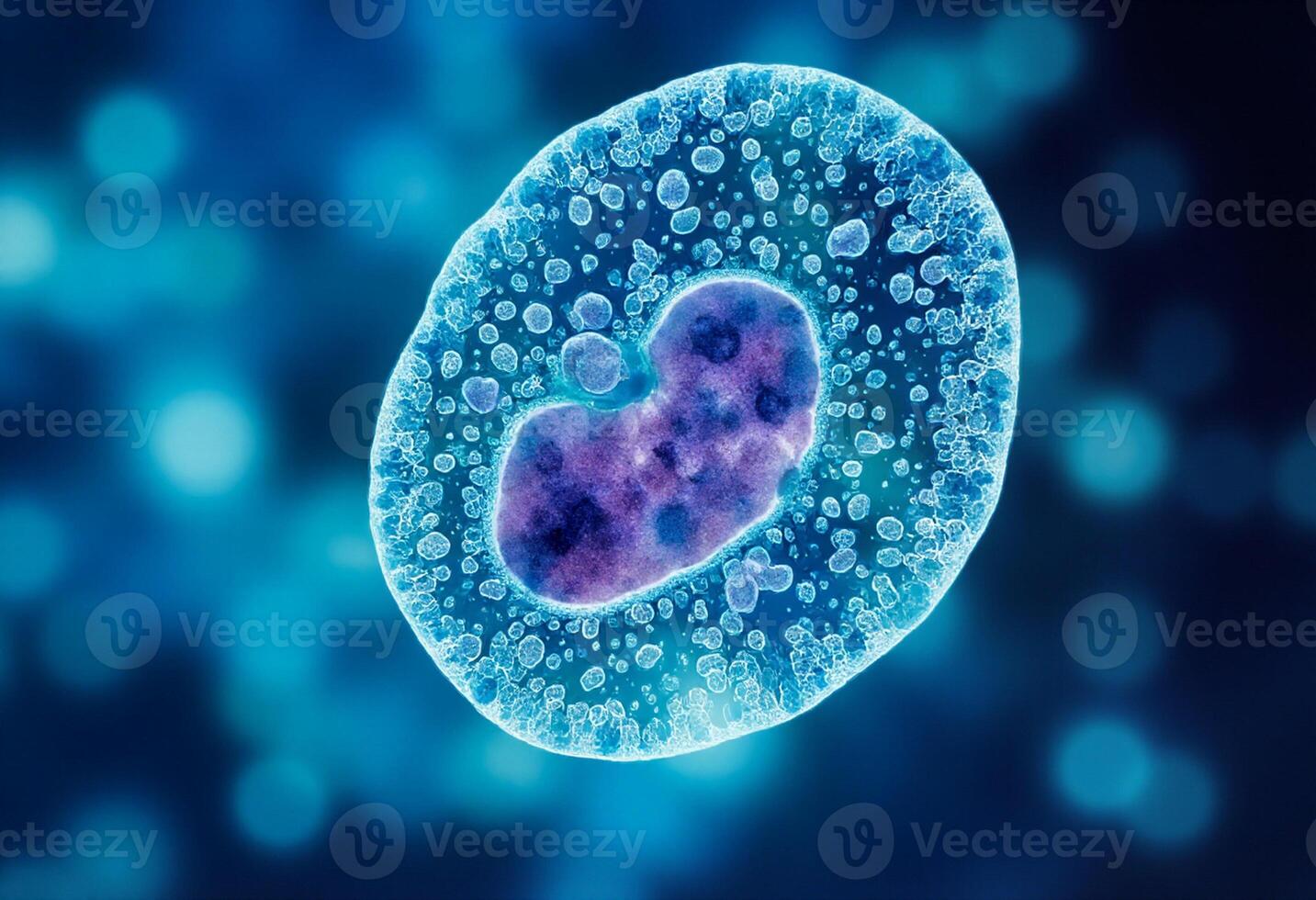 Microscopic Blue Bacteria Cells photo
