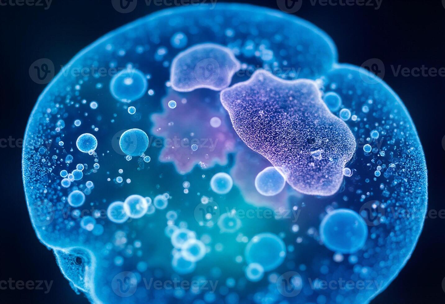 A cell with bubbles and bubbles inside photo