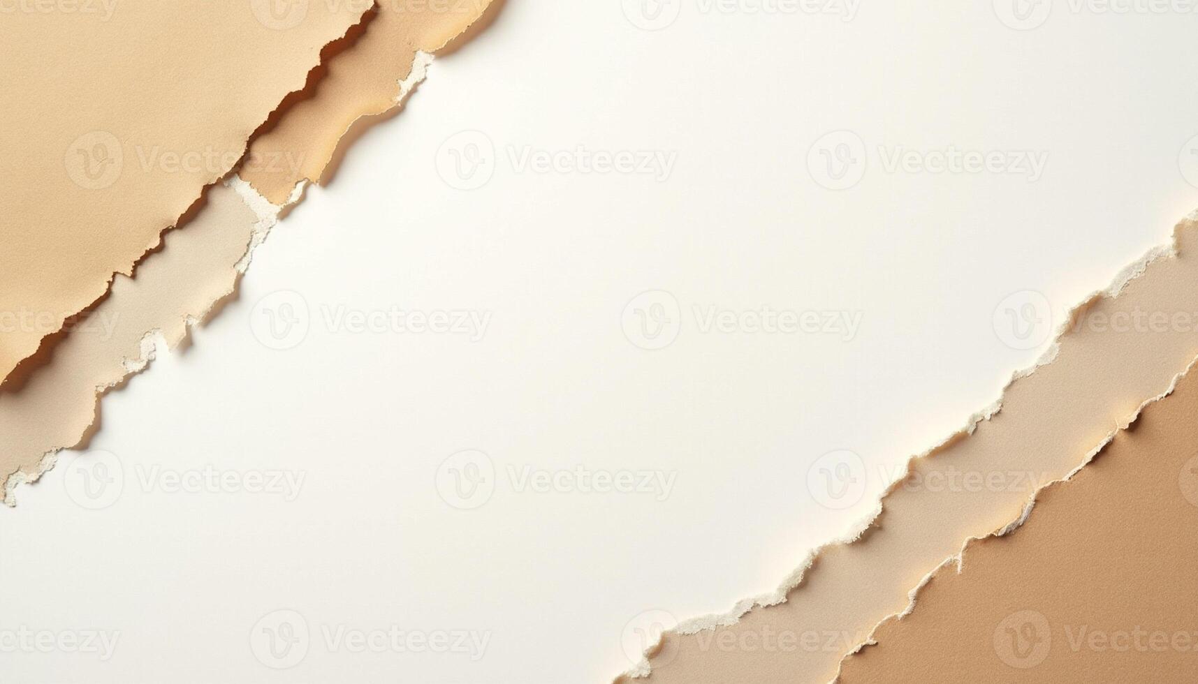 Folded Paper with Smooth Rip photo