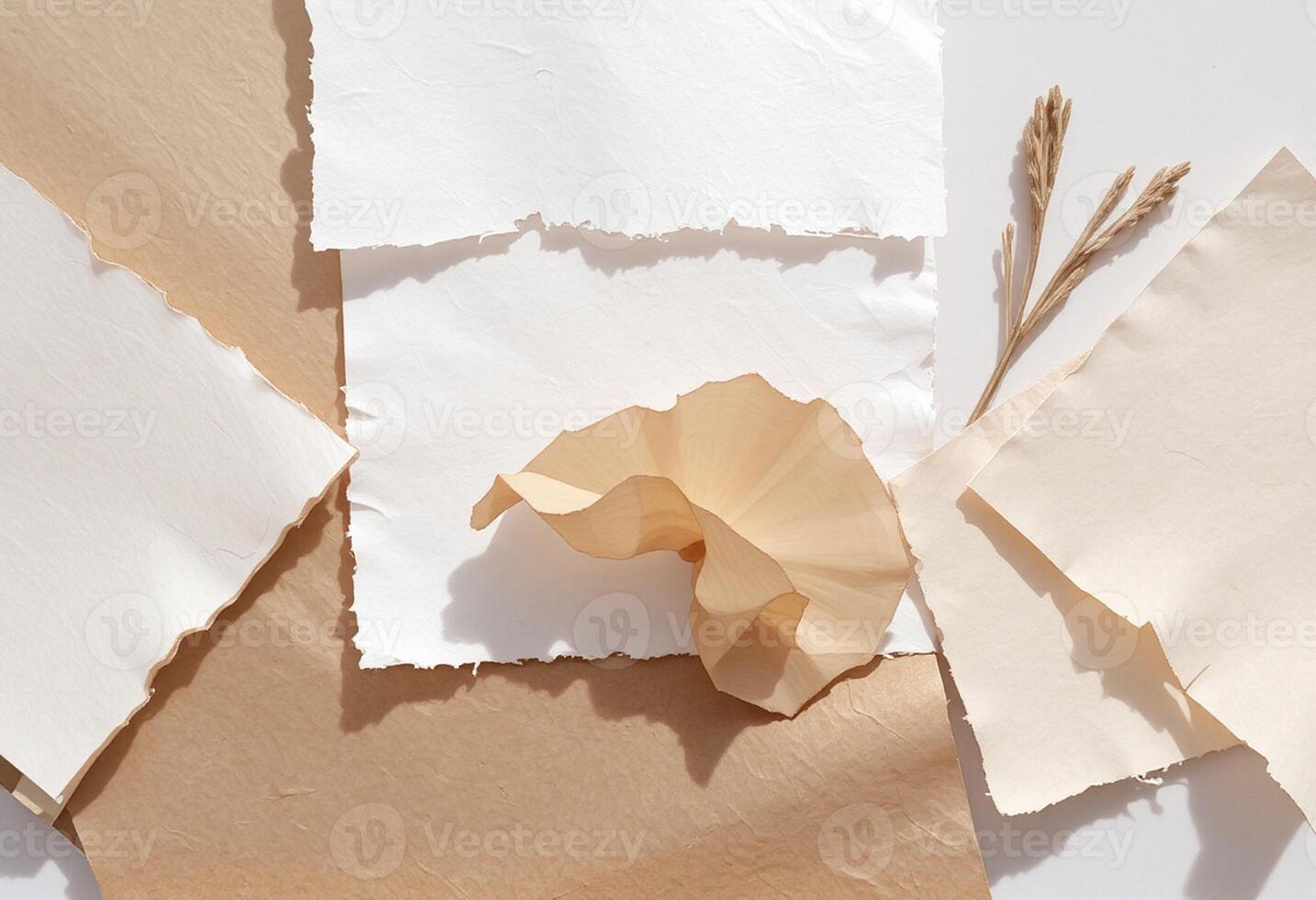 Paper, paper, and wheat on a white surface photo