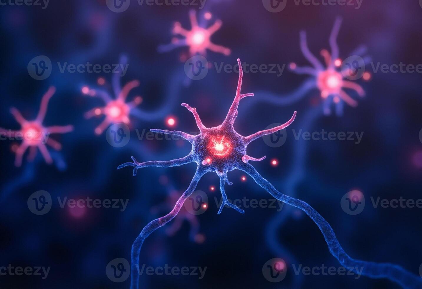 Neurons in the brain photo