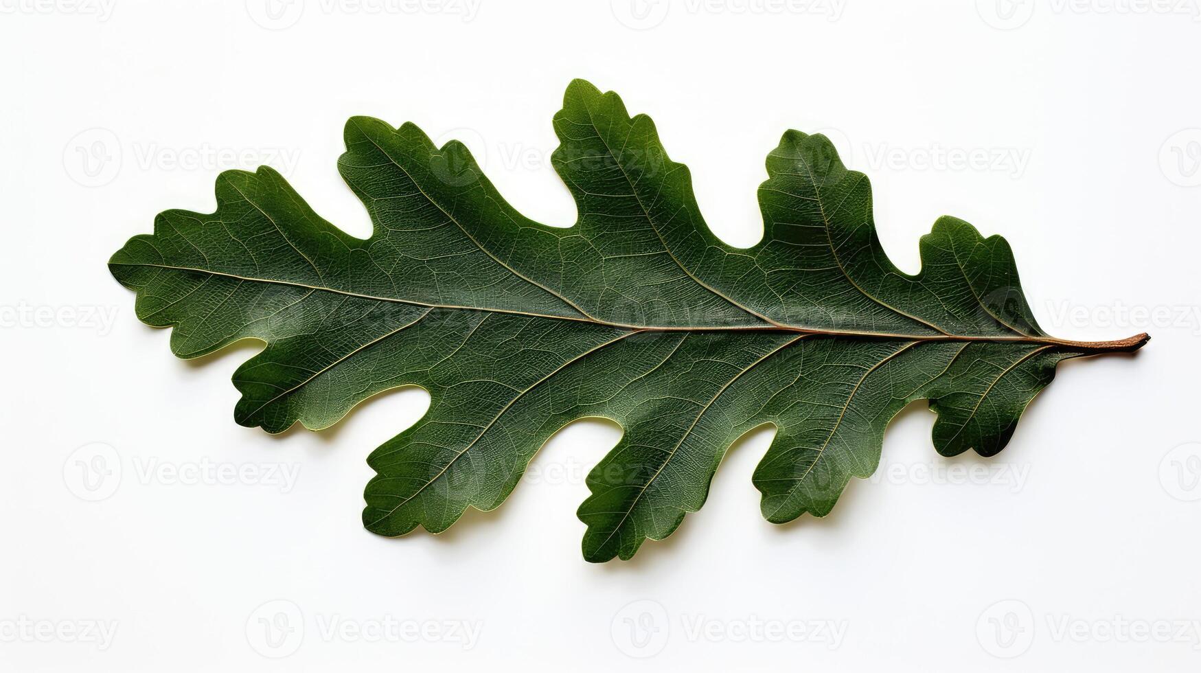 oak gift box bow photo