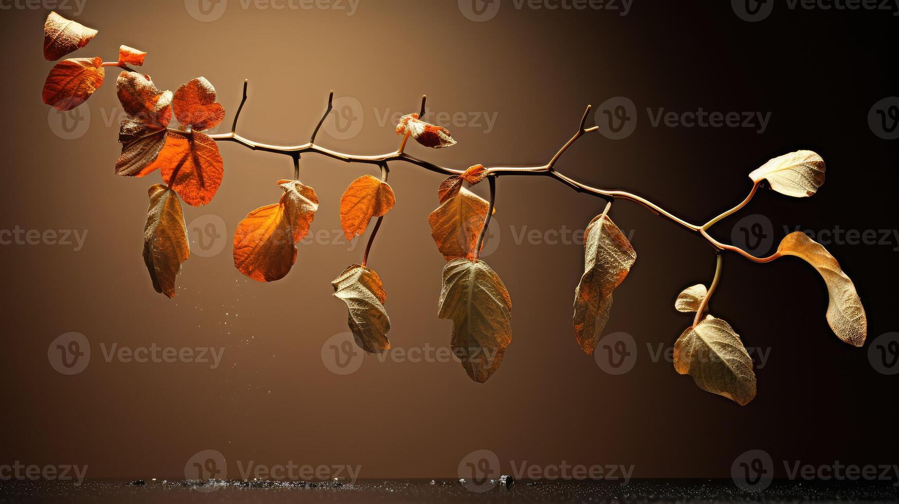 growth life cycle plant photo