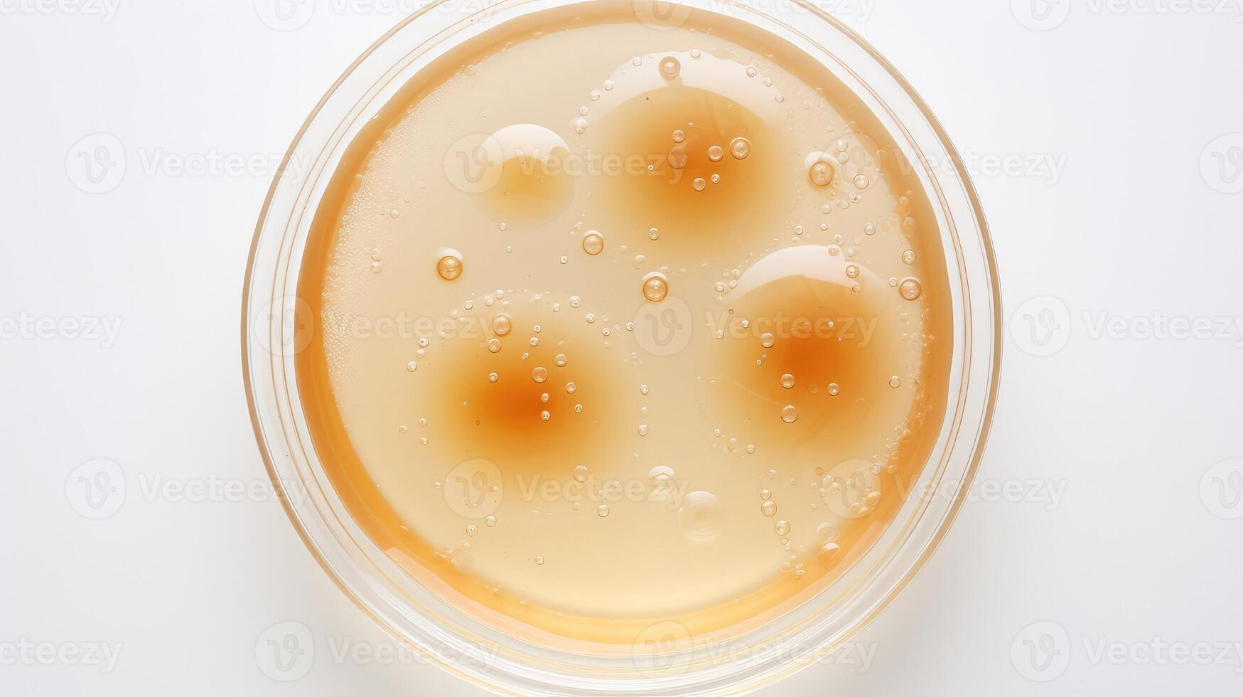 probiotic kombucha white background photo