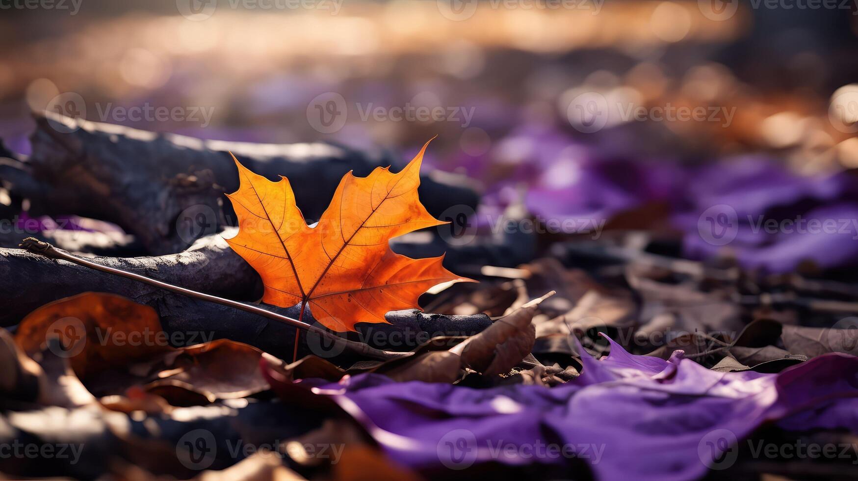 leaves oil bottle mockup photo