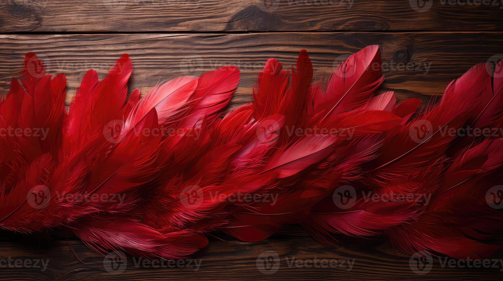 surface red feathers photo
