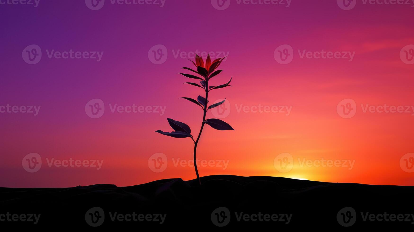orange plant growing silhouette photo