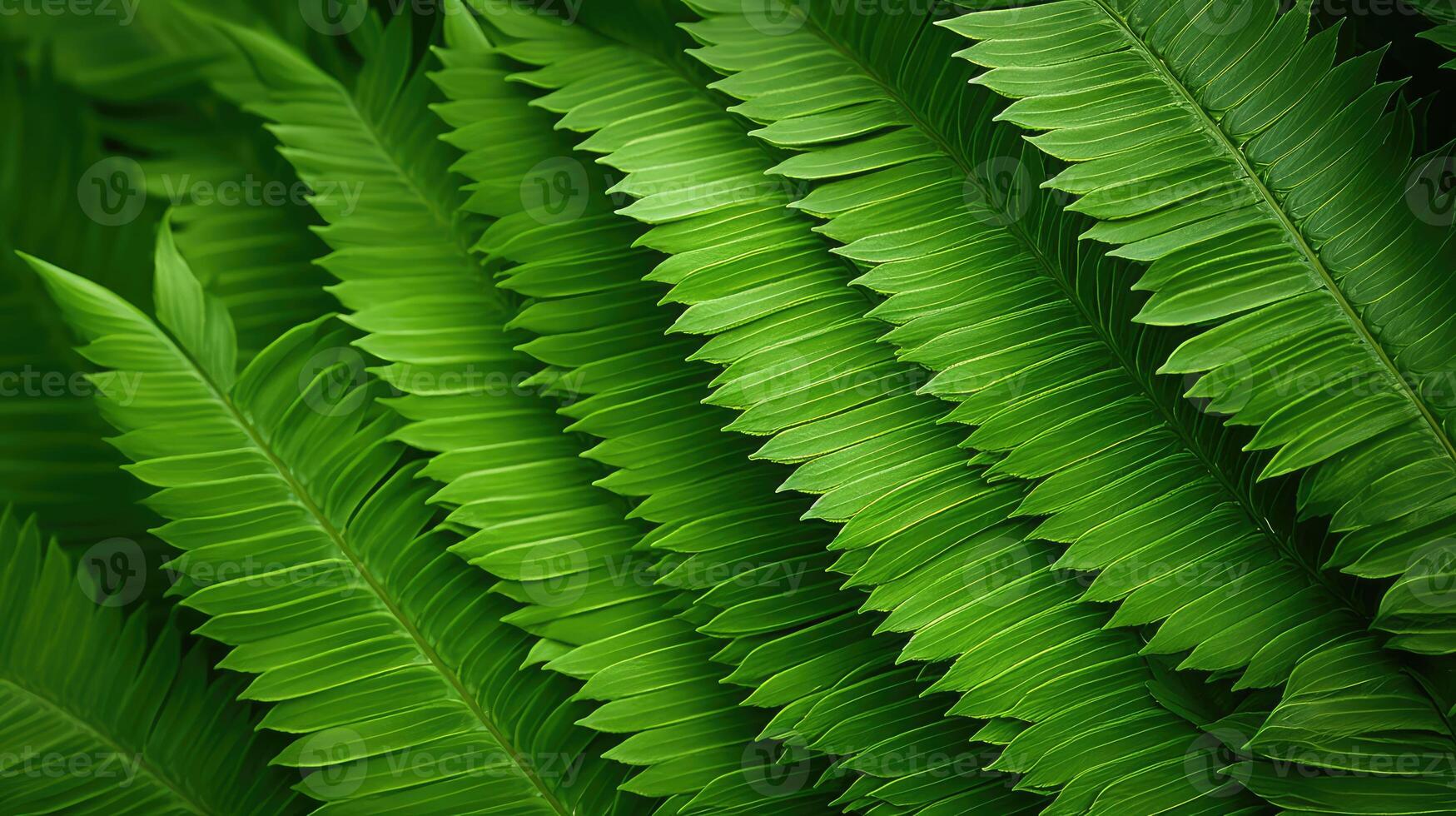 up cool green backgrounds photo