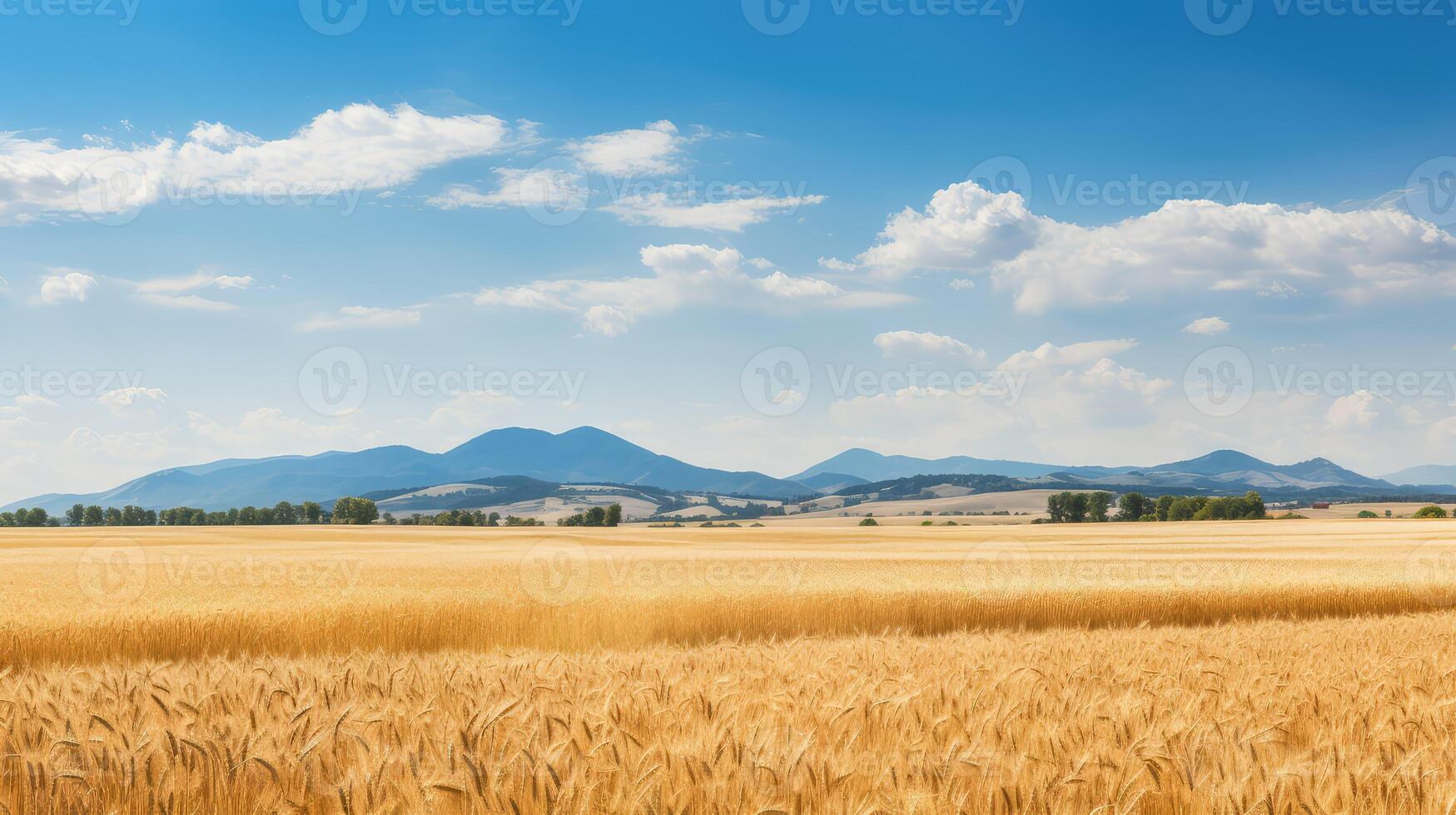 hills summer foliage field spring background photo