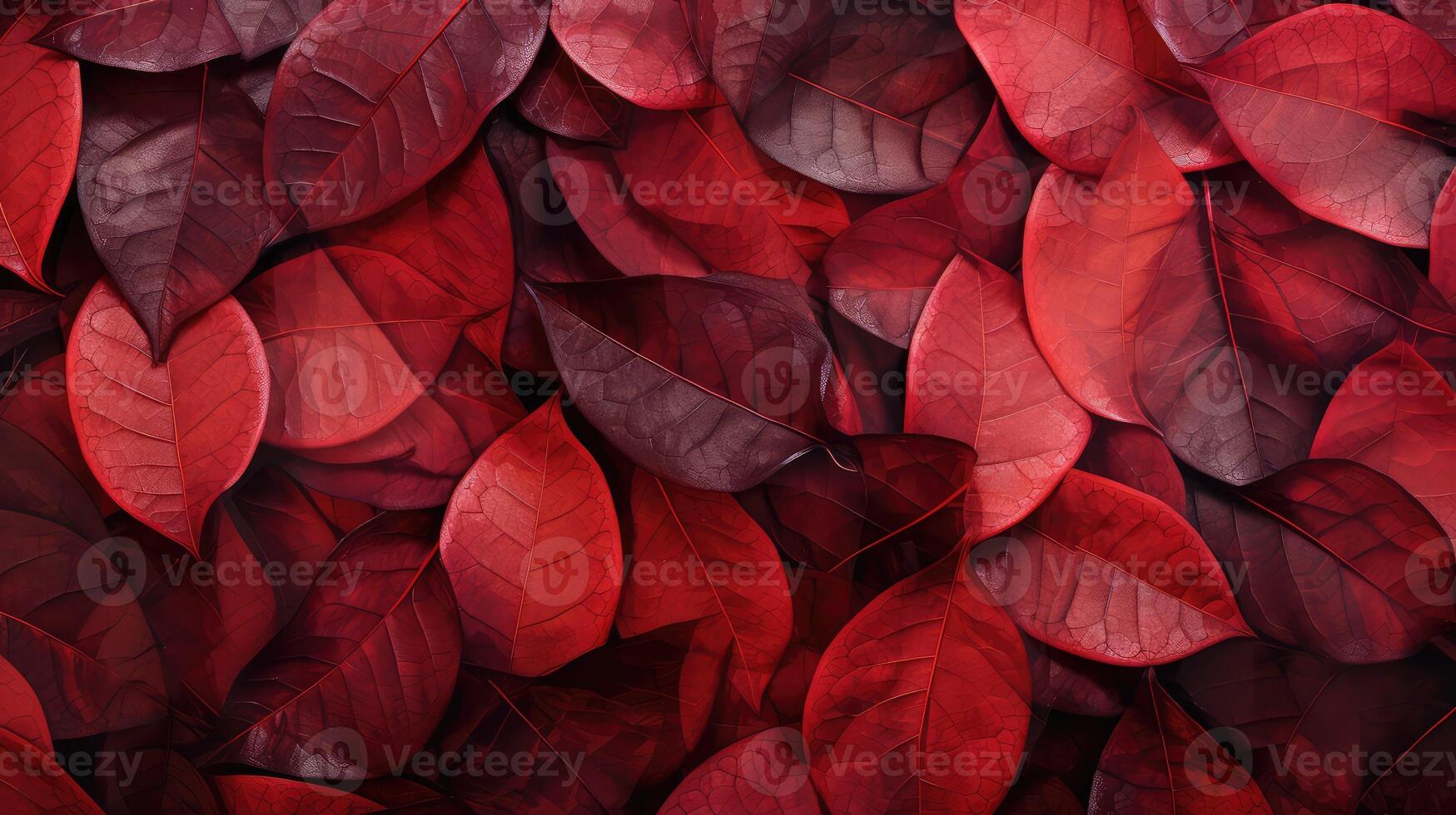 overlapping leaf abstract photo