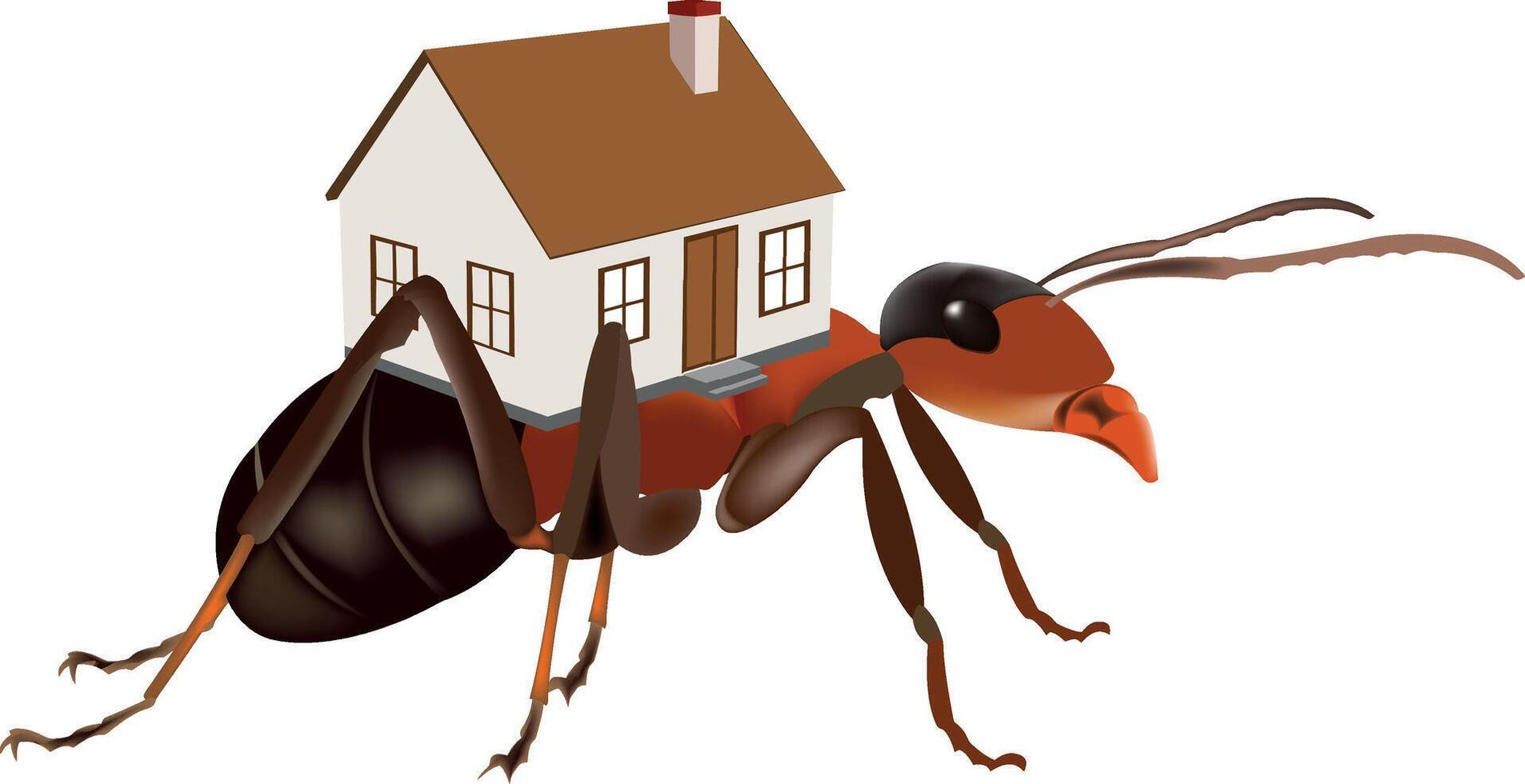 Ant house clipart vector