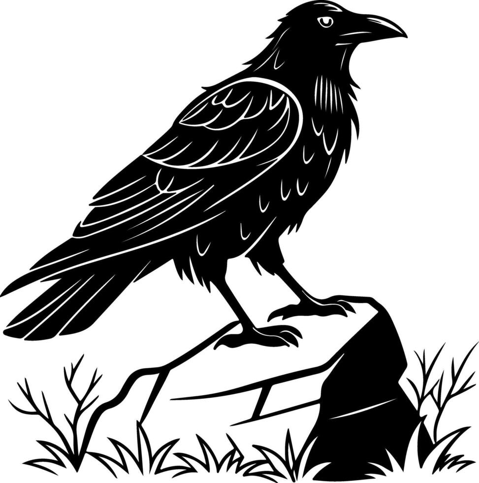 Raven standing firmly on rugged rocky surface vector