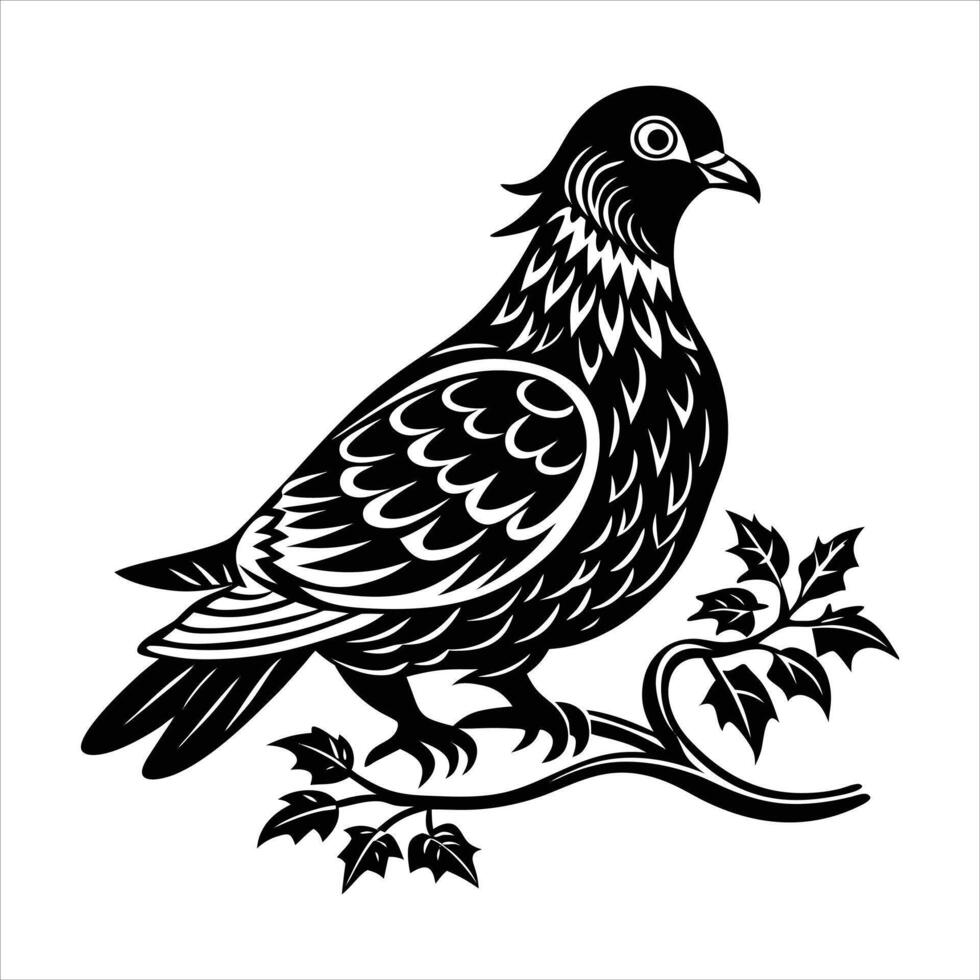 Wood Pigeon Ruffled Feathers vector