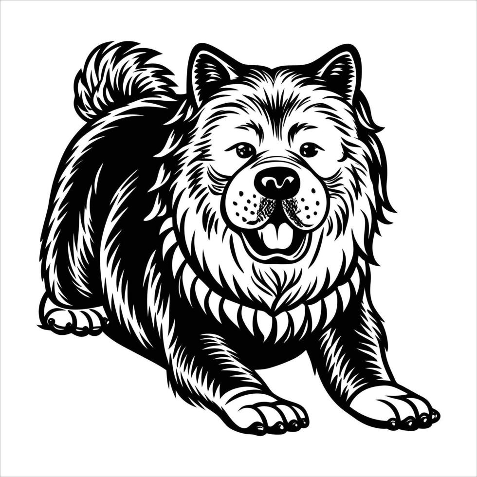Chow Chow Dog Posing vector