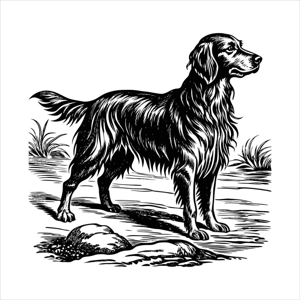 Gordon Setter Palm Trees vector