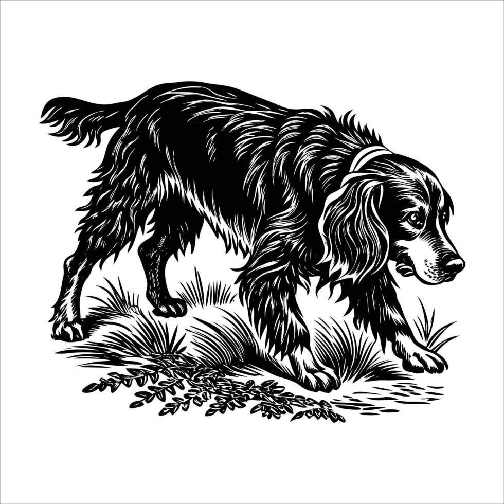 Setter Cartoon Dogs vector