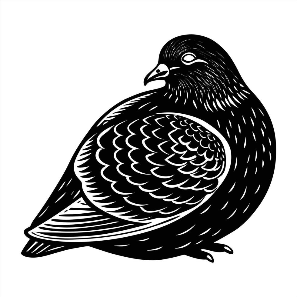 Pigeon Feather Vectors