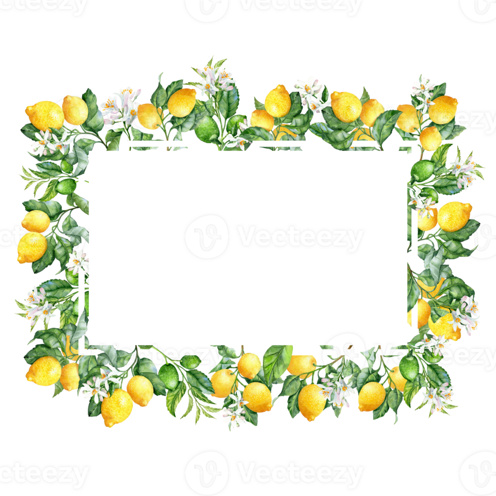 Rectangular frame with lush branches of lemons png