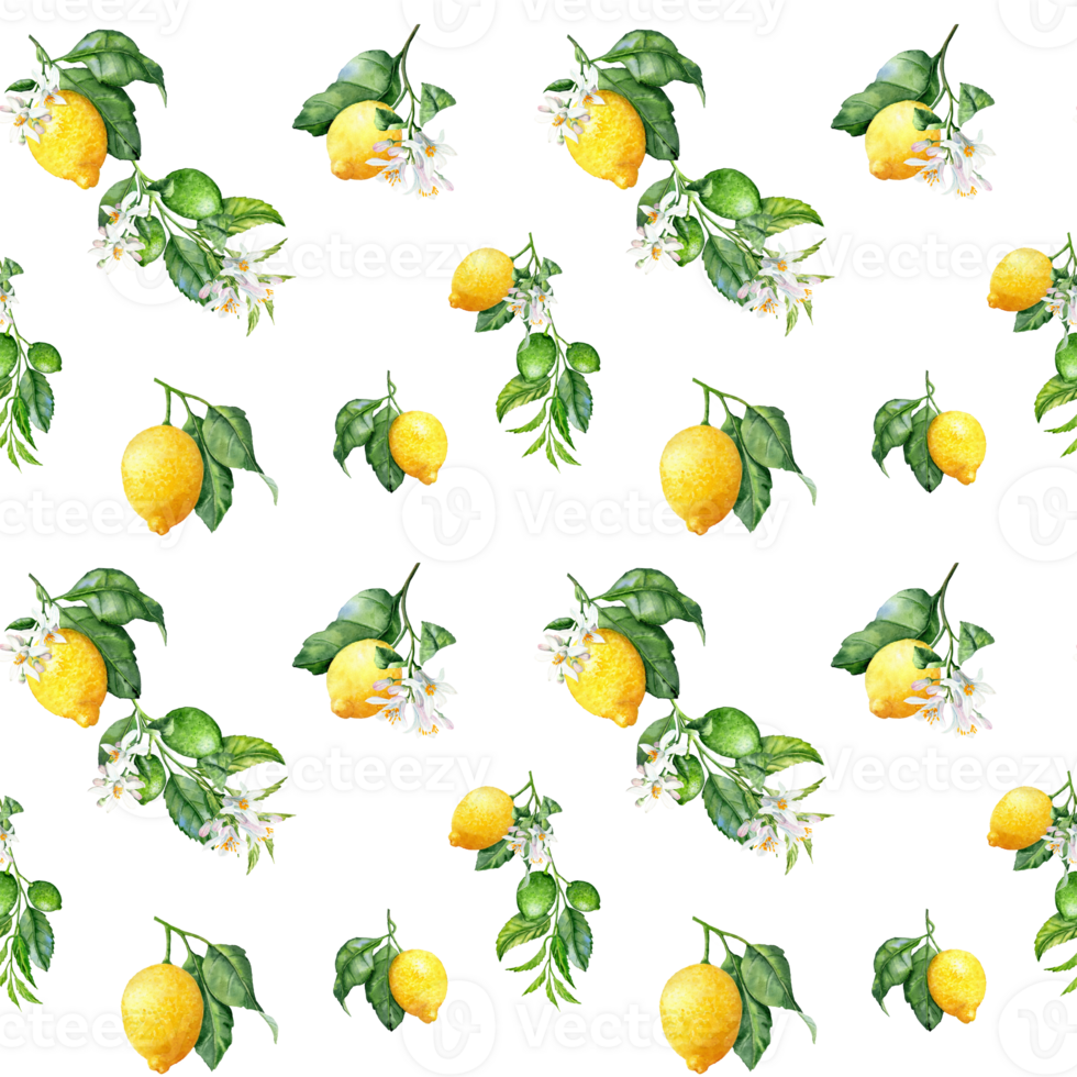 Seamless pattern with hand-drawn lemons and it blooming Branches png