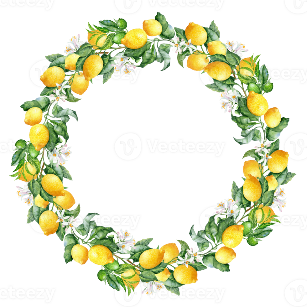 Hand-drawn round vignette with blooming lemon Branches and Fruits png